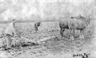 Ploughing at Crosspool