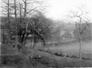 Reaps Wood, referred to as Two Troughs Wood on picture, looking towards Rivelin Valley Road and Spooner Wheel Dam