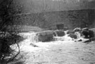 River Rivelin (below Round Dam?)