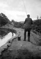 Wolfe Dam, Rivelin