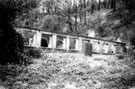 Ruins of Roscoe Wheel, Rivelin