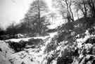 Woods at Rivelin