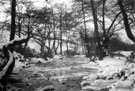 Rivelin above Round Dam