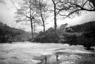 River Rivelin frozen over