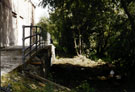 The Five Weirs Walk footpath and riverbank between Burton Weir and Salmon Pastures