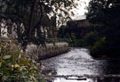 Burton Weir looking towards Crescent Steel Works and The Five Weirs Walk footpath (left and Park Iron Works (right)