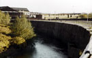 Five Weirs Walk looking towards Had-Mil Works and Attercliffe Cemetery (right)