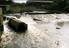 Brightside Weir, Five Weirs Walk