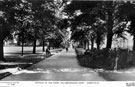 The Avenue leading down to Penistone Road, Hillsborough Park