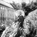 View: t03657 William Huginn Walker, probably in the Botanical Gardens