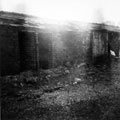 Privies at the rear of Bishop Street from Young Street