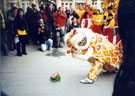 View: t03843 Lions accepting the Lucky Lettuce and Red Envelope (usually a gift of money), Barkers Pool during the Chinese New Year Procession 