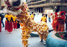 View: t03844 Lions accepting the Lucky Lettuce and Red Envelope (usually a gift of money), Barkers Pool during the Chinese New Year Procession 