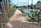 Debris left after the Flood of 25th June 2007 showing the River Don still running at a high level between Savile Street and Effingham Street