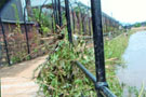 Debris left after the Flood of 25th June 2007. Five Weirs Walk between Effingham Street and Savile Street