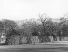 View: t04393 Norfolk Park Flats from the Botanical Gardens