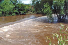 River Don in flood at Walk Mill Weir, Five Weirs Walk, Effingham Street