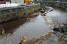 Clean up of the River Don, Five Weirs Walk Stevenson Road to Newhall Road Section