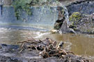 Clean up and repair of June 2007 flood damage of the River Don, Five Weirs Walk near Stevenson Road Bridge