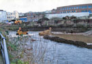 Clean up of the River Don, Five Weirs Walk near Burton Weir