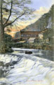 Roscoe Weir and Water Mill, River Rivelin 