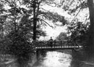 Bridge in Whiteley Woods and River Porter