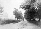 View looking along the top part of Whiteley Wood Road towards the junction of Hangingwater Road, opposite the allotments before any of the houses were built.