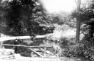 Nether Spurgear Wheel Dam (also known as Third Endcliffe Wheel), Endcliffe