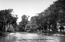 The duck pond at High Hazels Park, Darnall