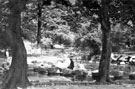 Stepping stones in Endcliffe Park on the River Porter