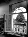 View: u03009 View of Hillsborough Park through window at Hillsborough Library, Middlewood Road, Hillsborough Park. Formerly Hillsborough Hall and built in the 18th century.