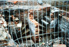 Archaeological excavations revealing cellars of houses on the corner of Burnt Tree Lane