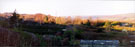 Panoramic view of allotments on Back Lane between Stephen Drive and Long Lane