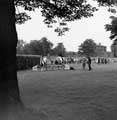 Unidentified Show Jumping  Event, Hillsborough Park with Hillsborough Library formerly Hillsborough Hall in the background