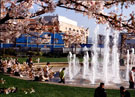 Peace Gardens after demolition of Town Hall Extension known as the Egg Box (Eggbox) and constuction of Winter Garden