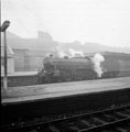 B1 steam locomotive 61039 Steinbok at Sheffield Midland railway station