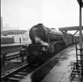 View: v00562 V2 Class steam locomotive at Sheffield Midland railway station