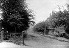 Salisbury Road, near Birley Carr