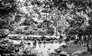 Stepping stones in Endcliffe Park