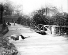 Stepping stones at Graves Park