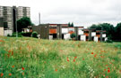 Guildford Avenue, Norfolk Park, showing housing prior to demolition