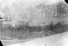 Greenhouses at Whirlow House, off Ecclesall Road South, home of Edgar Allen, Steel Manufacturer. 