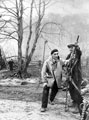 Felling trees in Millhouses Park