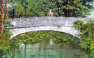 Packhorse Bridge over the River Rivelin