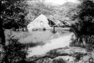 Mill Dam possibly Nether Cut Wheel (New Wheel), River Rivelin, Rivelin Valley