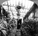 Interior of glass house connecting The Pavilions, Botanical Gardens