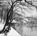 Winter at Endcliffe Wheel Bathing Dam, Endcliffe Park