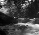 River Rivelin, Rivelin Valley