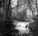 Black Brook, Lodge Moor