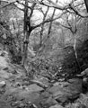 Elliott Stone, Black Brook christened 'Ribbledin' by the poet Elliott